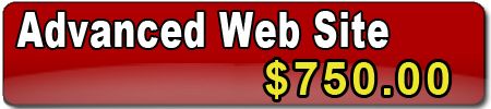 Upgrade to an advanced web site to show your customers you are a reputable business....