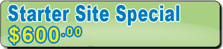 A starter website is a low risk method to build your new business...