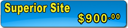 Superior web sites draw customers quickly with impressive features. Show video, accept credit cards, or use impressive animation to build revenue